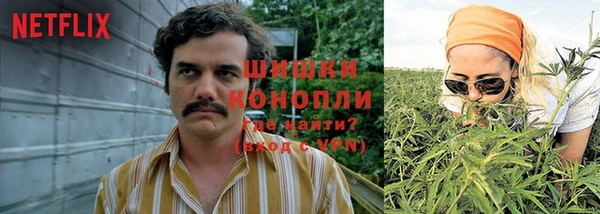 мяу мяу мука Заволжск