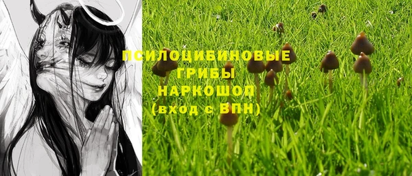 мяу мяу мука Заволжск