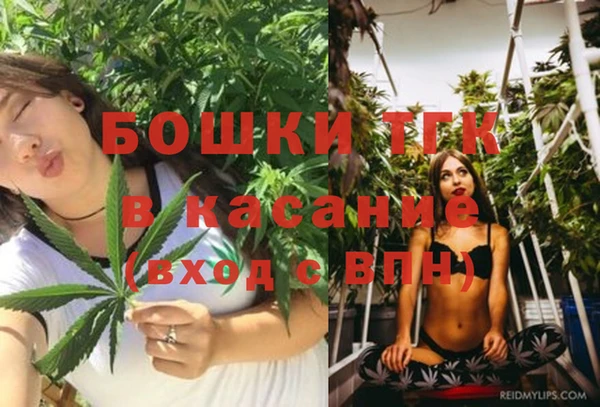 mdma Заводоуковск