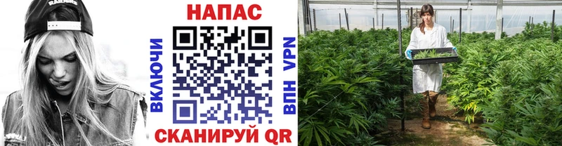 OMG ТОР  Новомосковск  Каннабис MAZAR  продажа наркотиков 